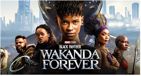 wakanda forever summary|What to Know Before Watching Black Panther: Wakanda Forever